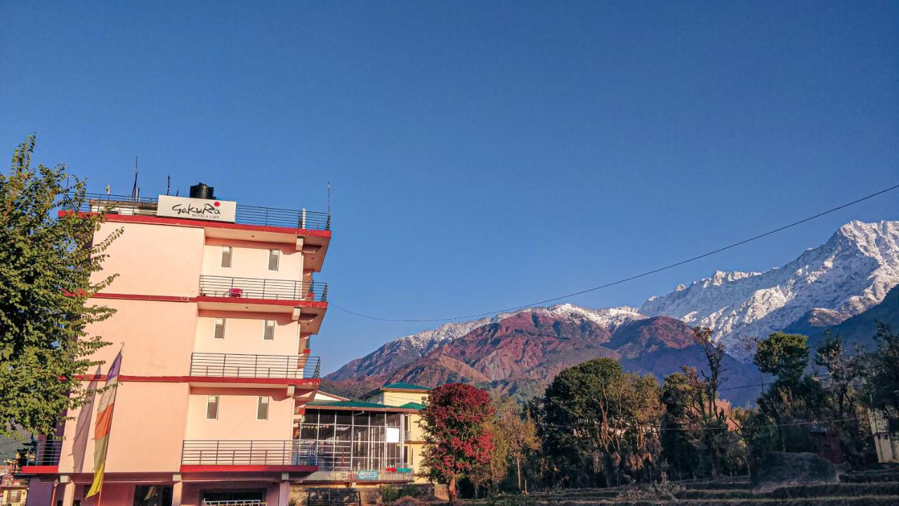 Sakura Guest House Дармсала Экстерьер фото